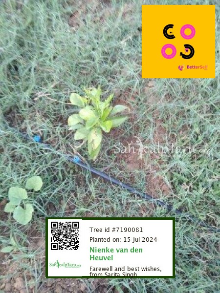 Image 14